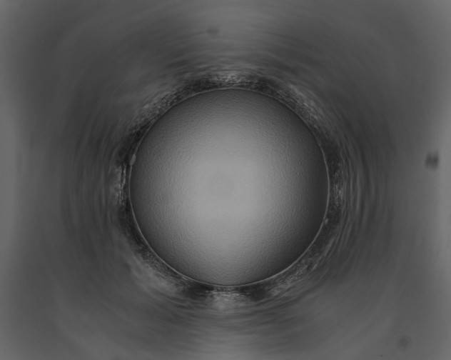 X0000091080605200708271237