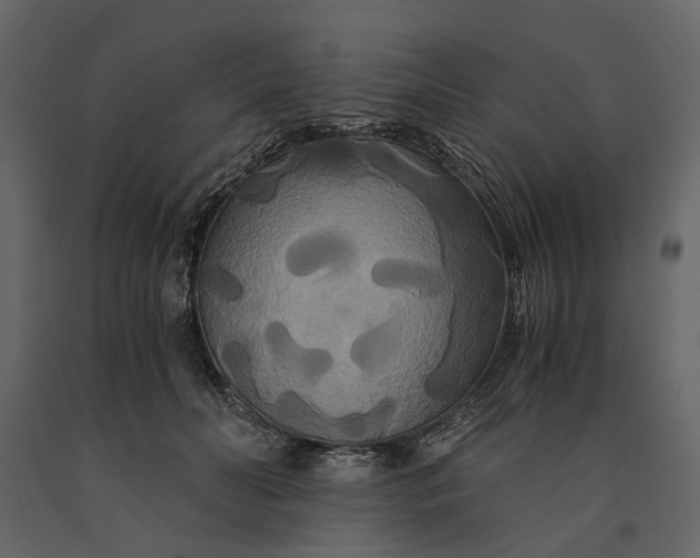 X0000091080606200708271237