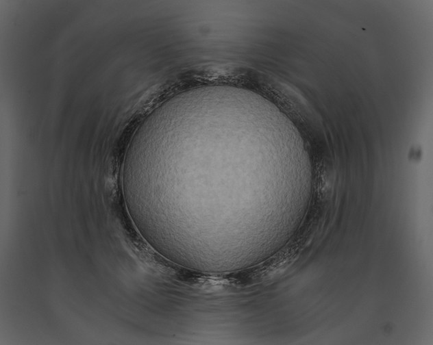 X0000091080607200708271237