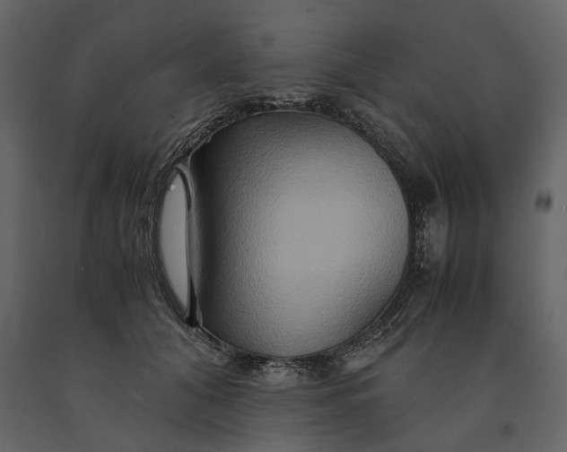 X0000091080608200708271237