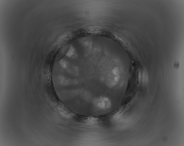 X0000091080609200708271237