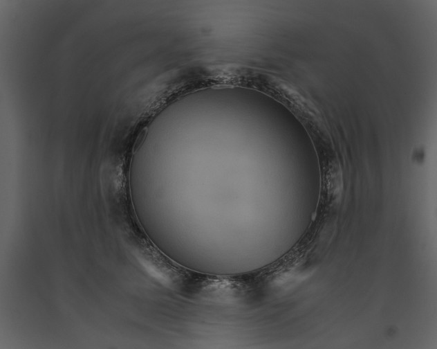 X0000091080611200708271237