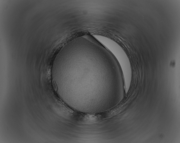 X0000091080613200708271237