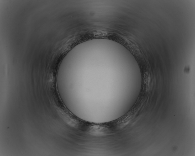 X0000091080614200708271237