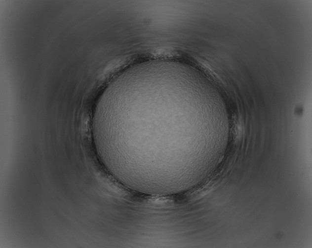 X0000091080619200708271237