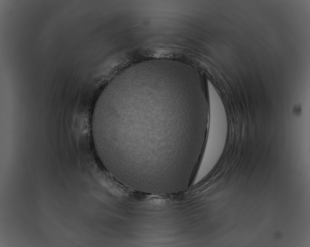 X0000091080620200708271237