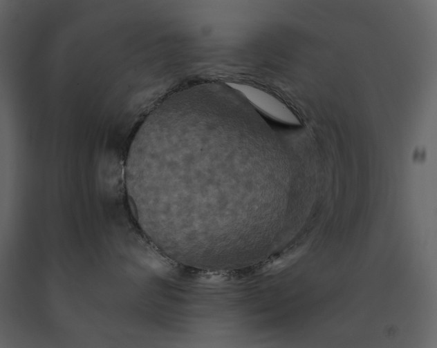 X0000091080624200708271237