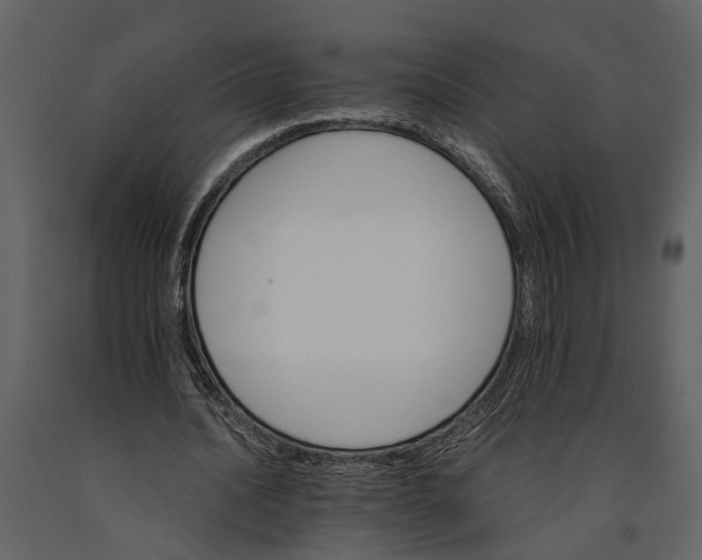 X0000091080628200708271237