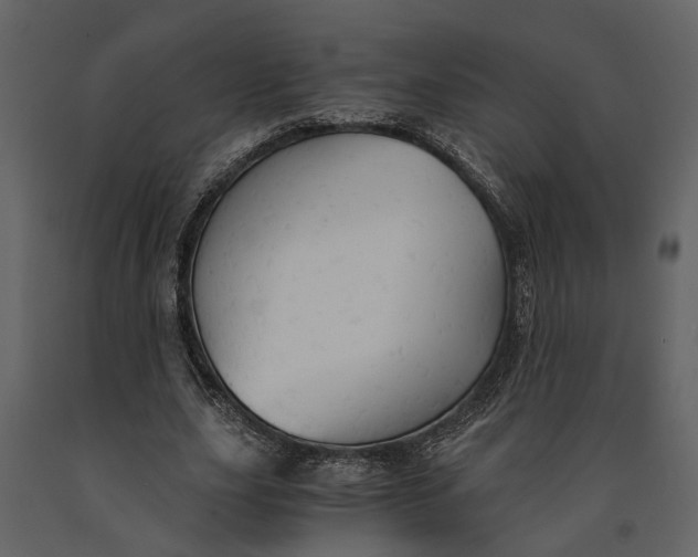 X0000091080631200708271237