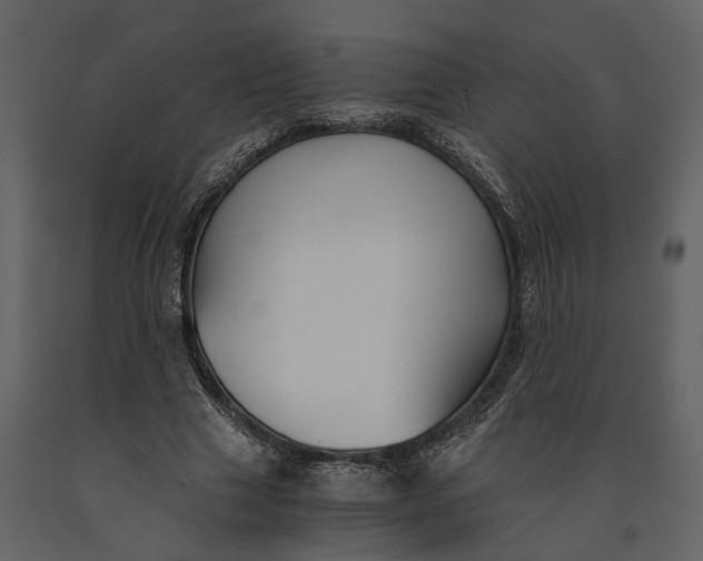 X0000091080633200708271237