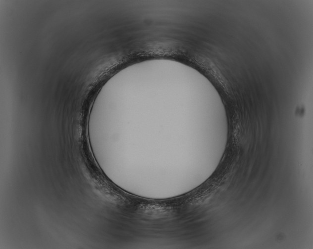 X0000091080635200708271237