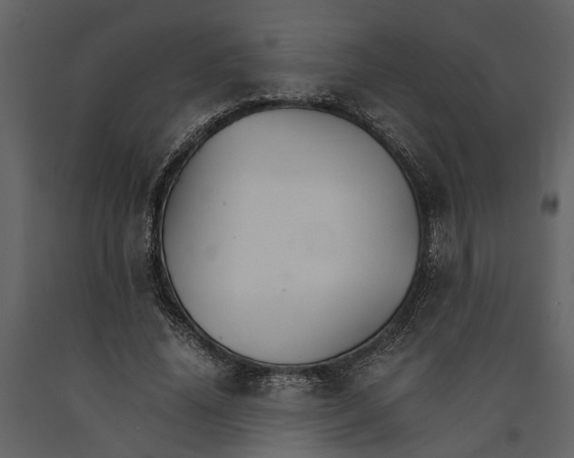 X0000091080636200708271237