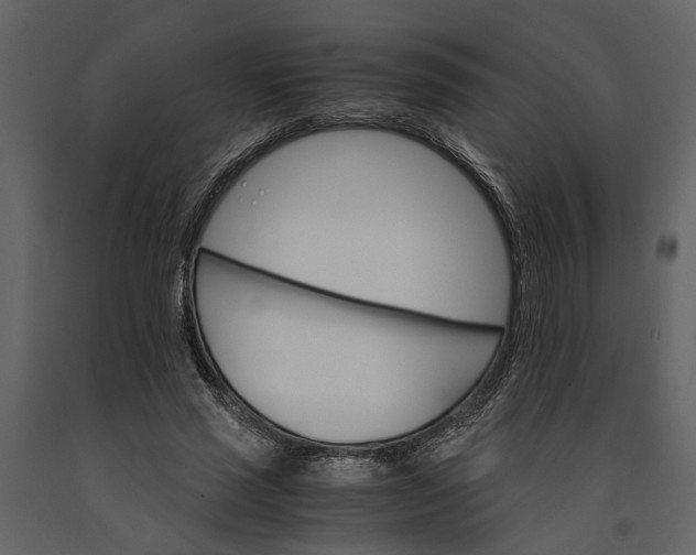 X0000091080637200708271237