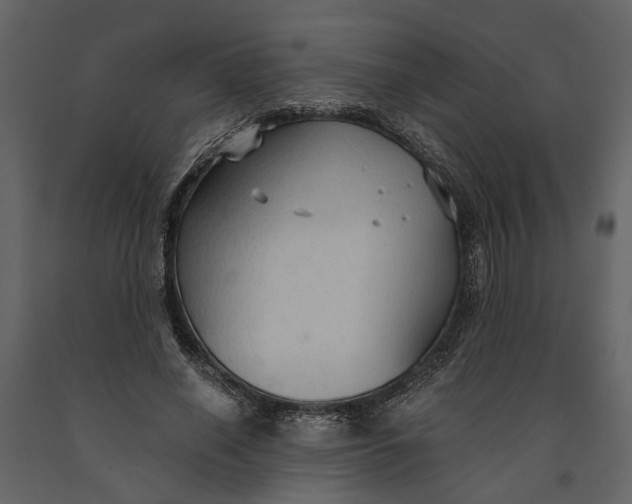 X0000091080638200708271237