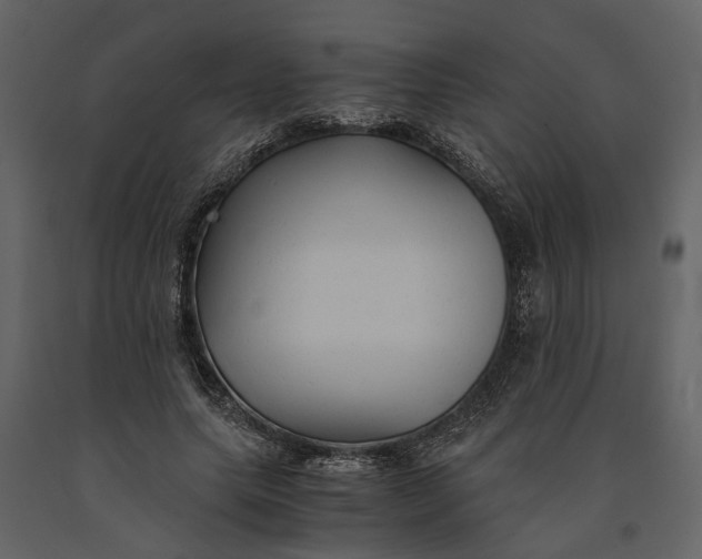 X0000091080639200708271237