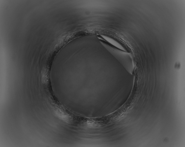 X0000091080641200708271237