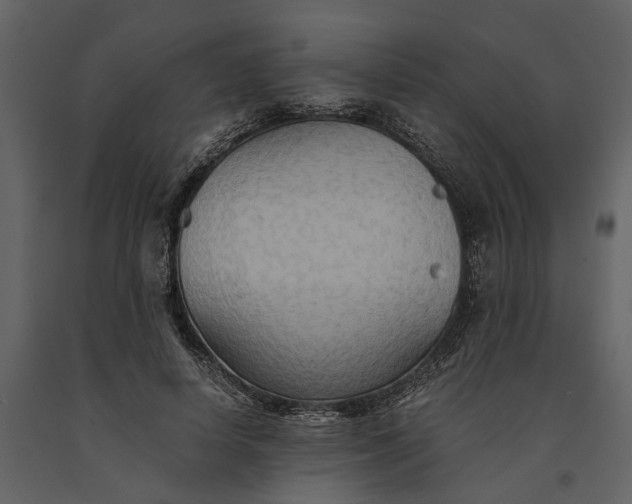 X0000091080642200708271237