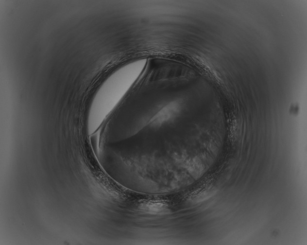 X0000091080643200708271237