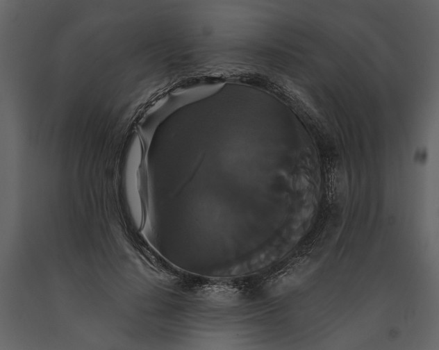 X0000091080644200708271237