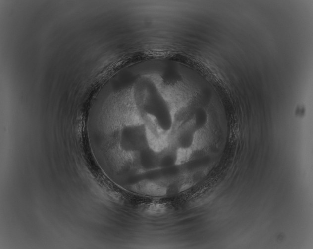 X0000091080647200708271237