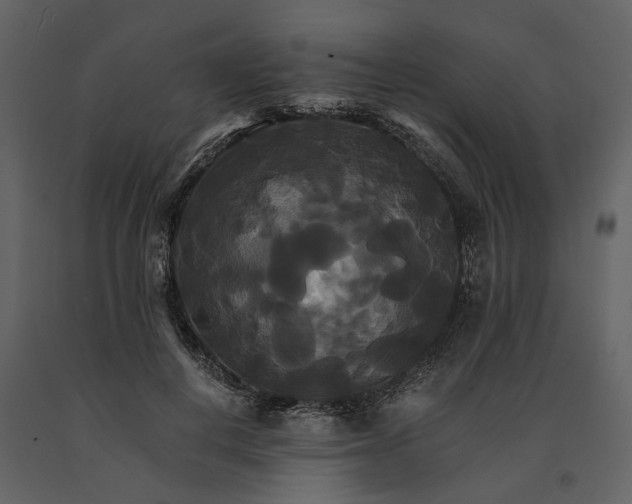 X0000091080648200708271237