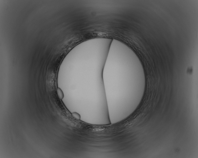 X0000091080650200708271237