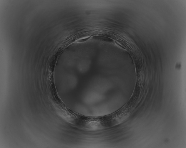 X0000091080653200708271237