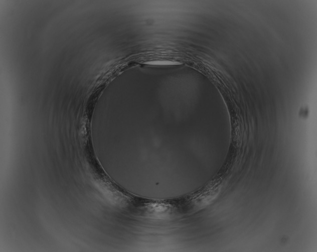 X0000091080654200708271237