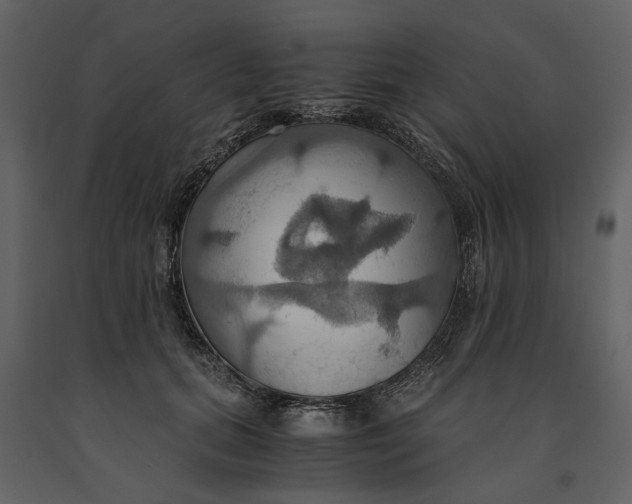 X0000091080655200708271237