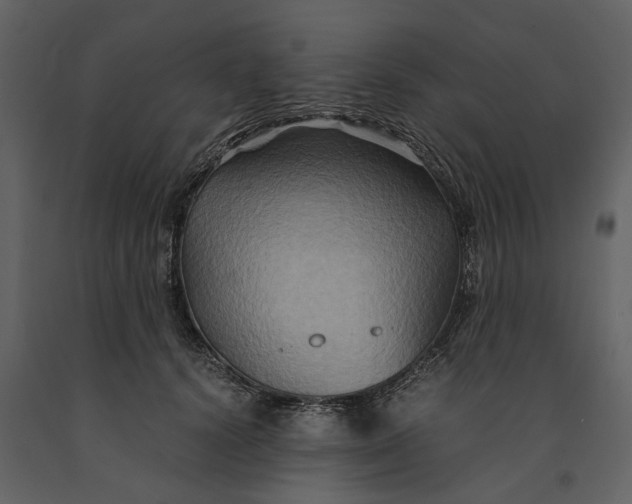 X0000091080656200708271237