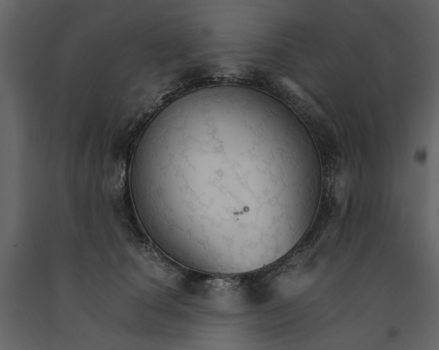 X0000091080660200708271237