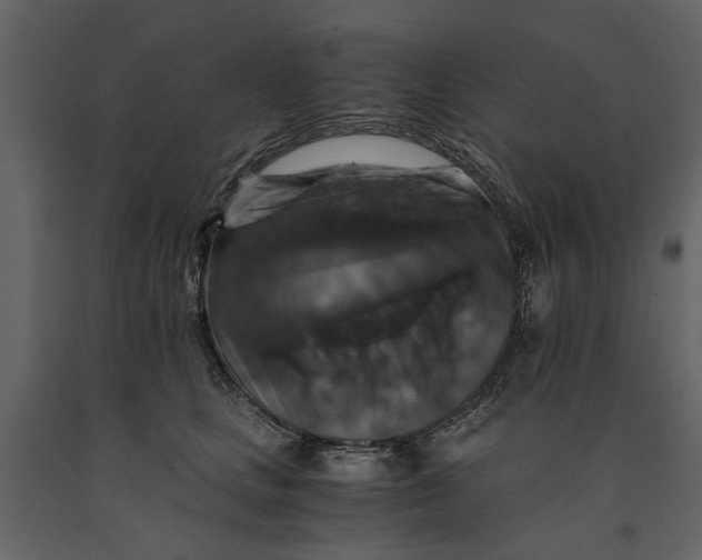 X0000091080661200708271237