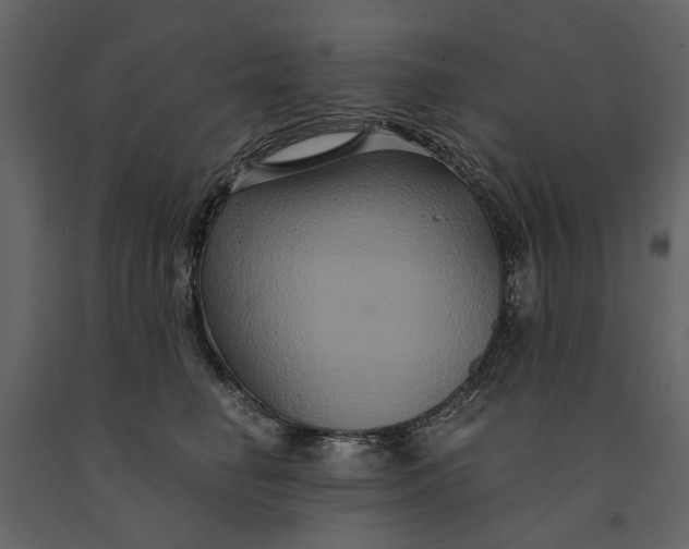 X0000091080662200708271237