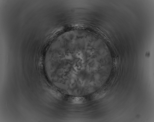 X0000091080663200708271237