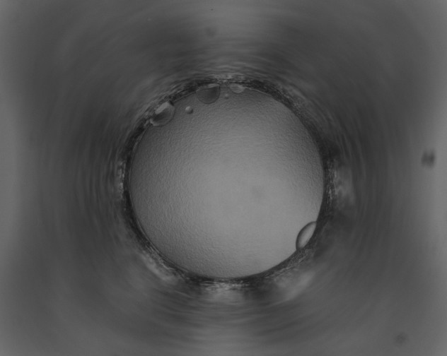 X0000091080664200708271237