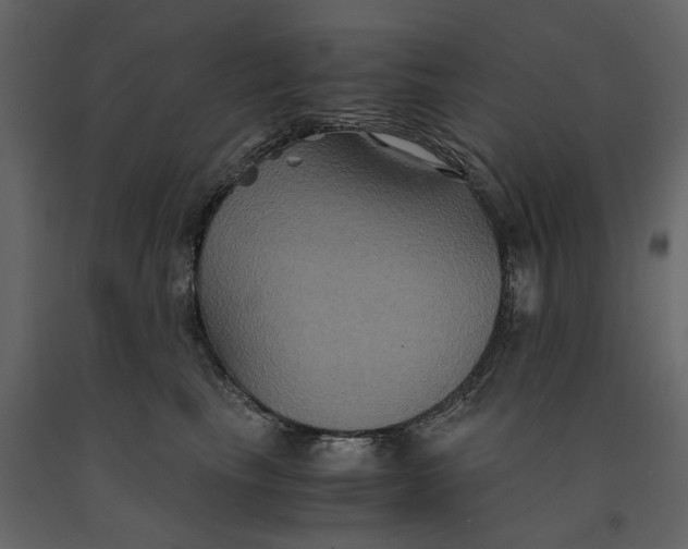 X0000091080665200708271237