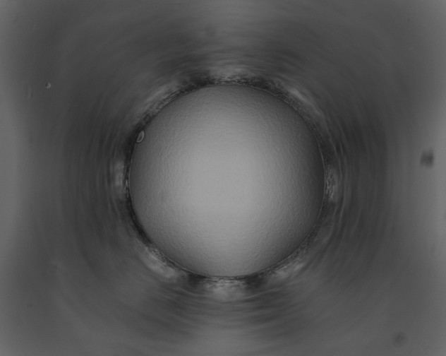 X0000091080670200708271237