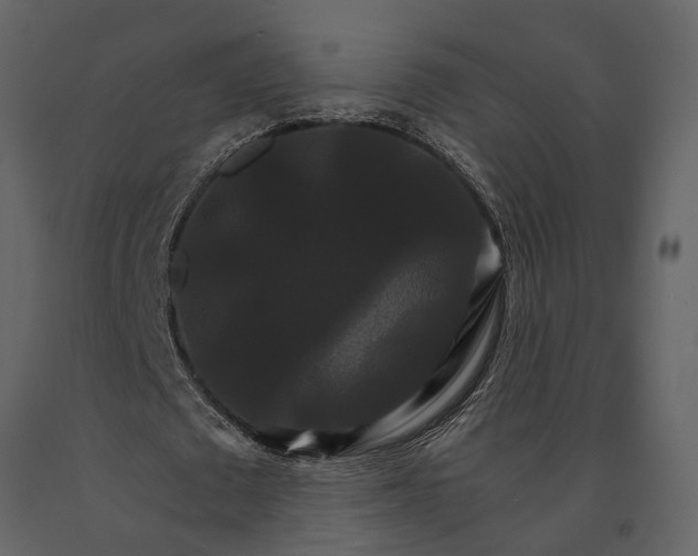 X0000091080673200708271237