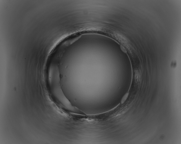 X0000091080676200708271237