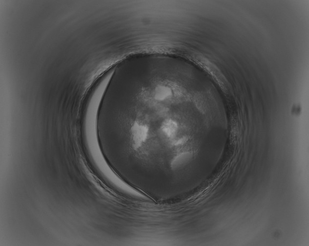 X0000091080677200708271237