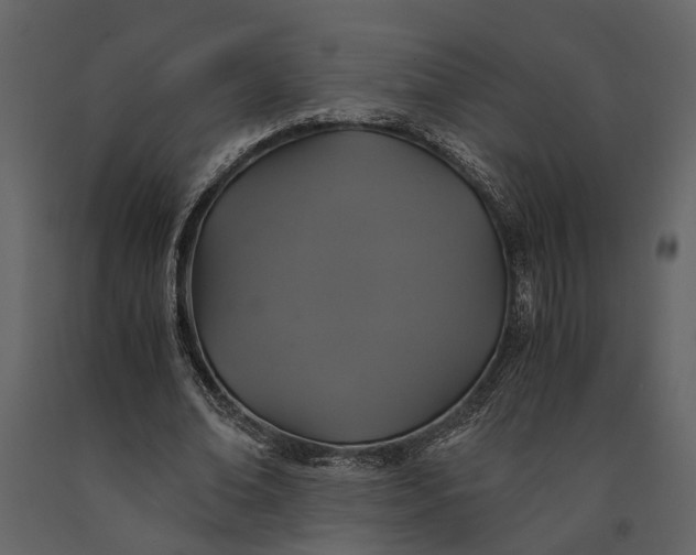 X0000091080678200708271237