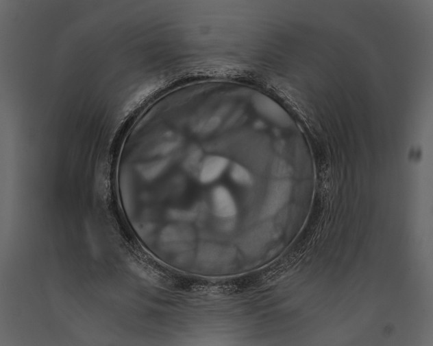 X0000091080679200708271237