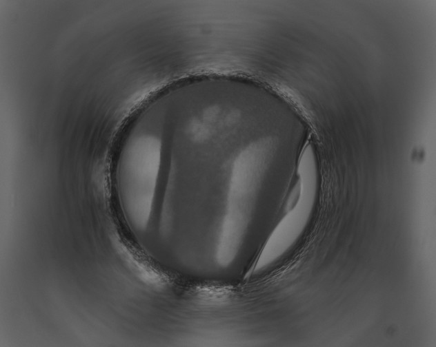 X0000091080680200708271237