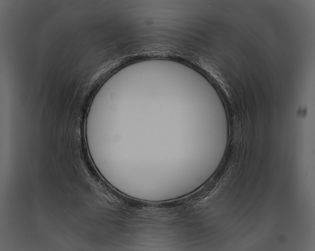 X0000091080681200708271236