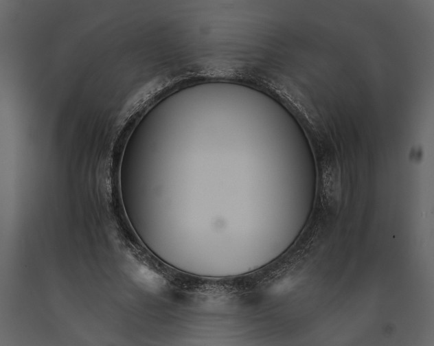 X0000091080682200708271236