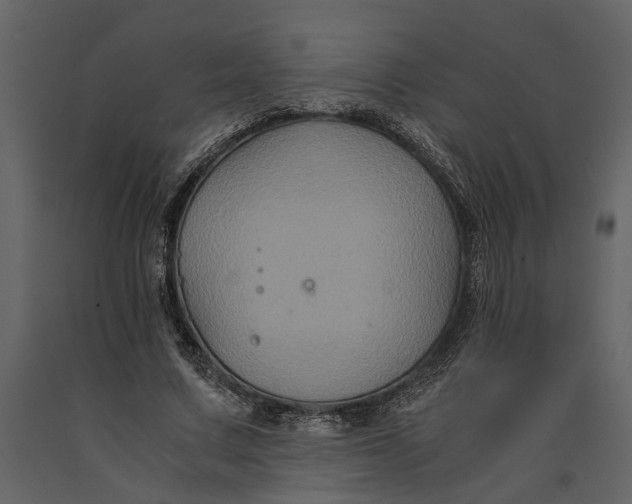 X0000091080683200708271236