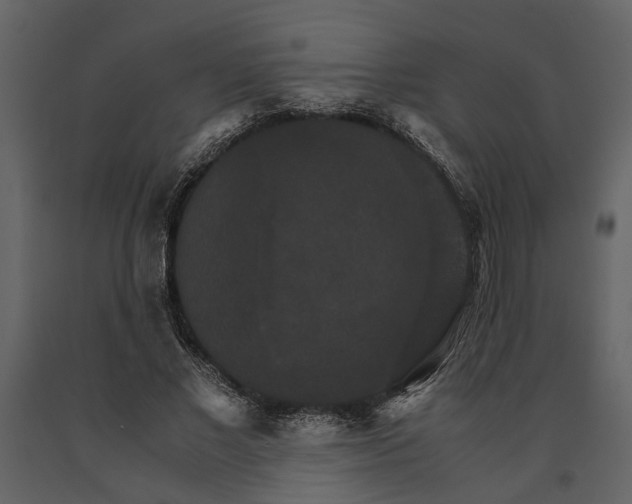 X0000091080685200708271236