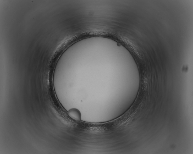 X0000091080686200708271236