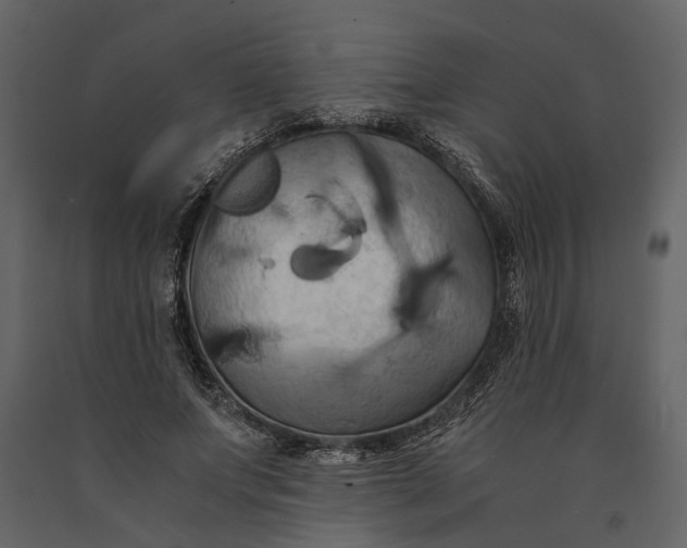 X0000091080687200708271236