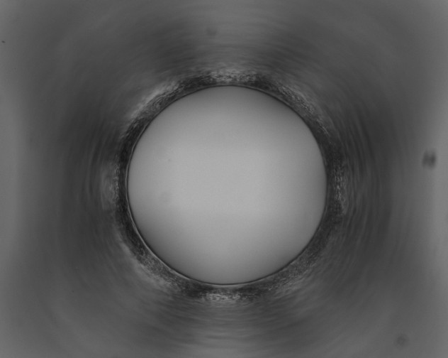 X0000091080690200708271236